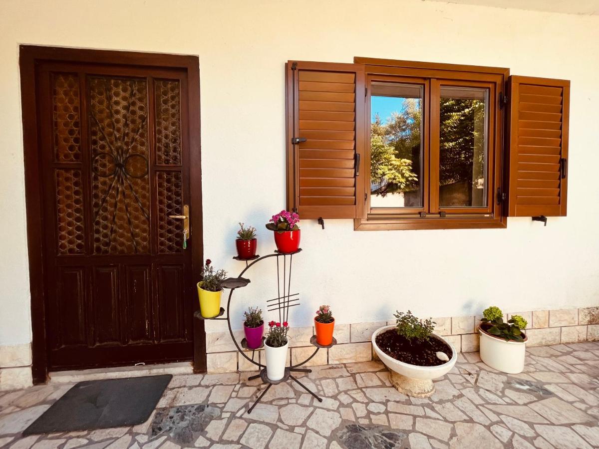 Lea Apartment Lucija Εξωτερικό φωτογραφία