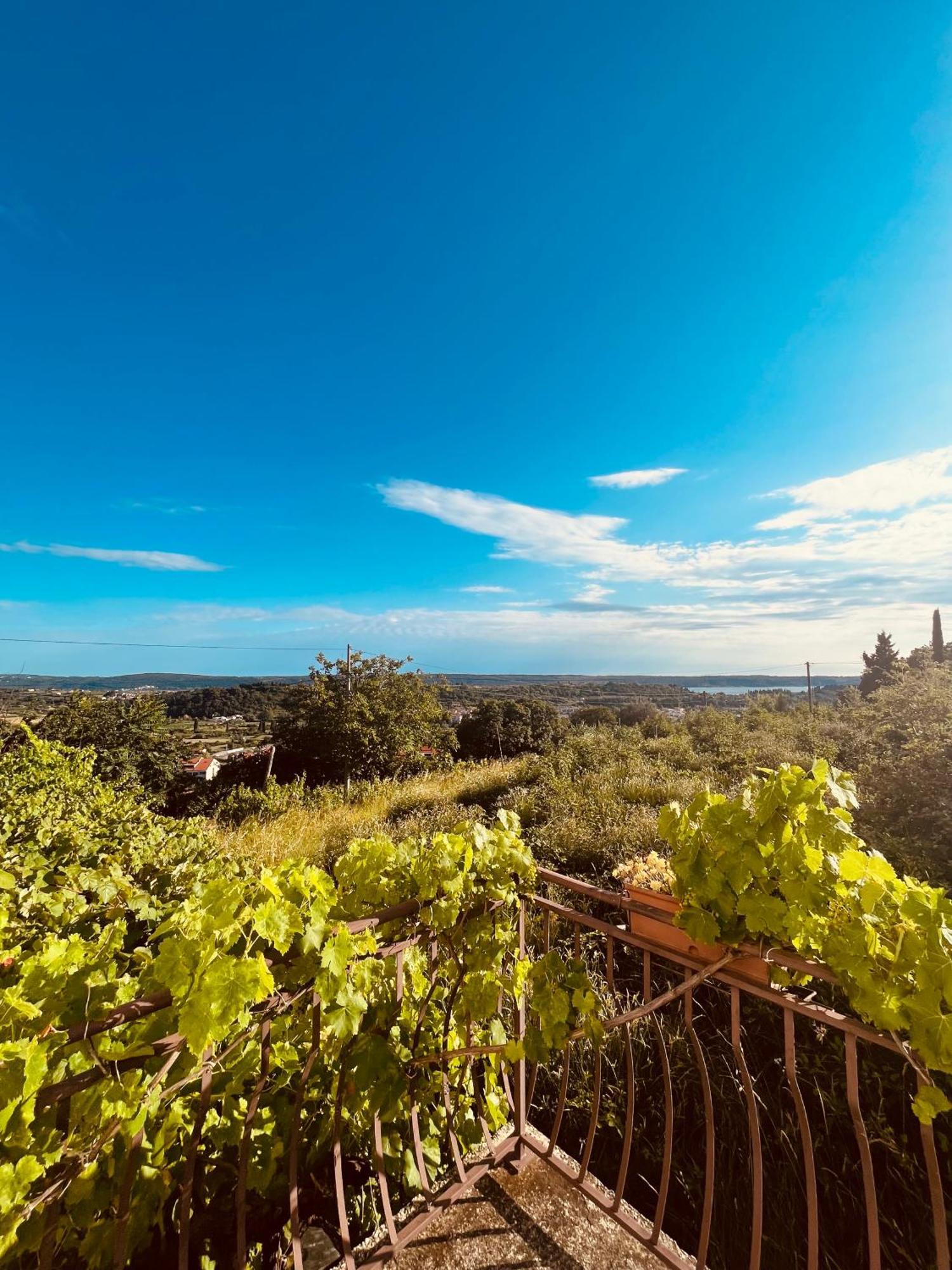 Lea Apartment Lucija Εξωτερικό φωτογραφία